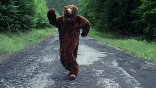 bear70ggal.gif