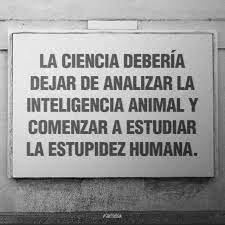 Inteligencia animal, estupides humana.jpeg