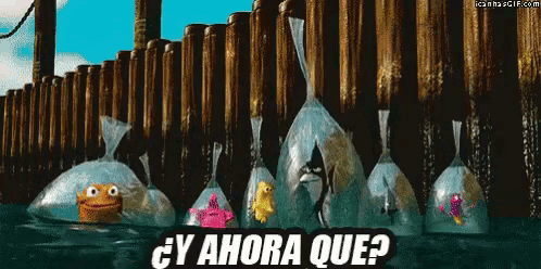 y-ahora-que-nemo.gif
