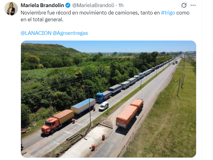 camiones y camiones haciendo fila.png