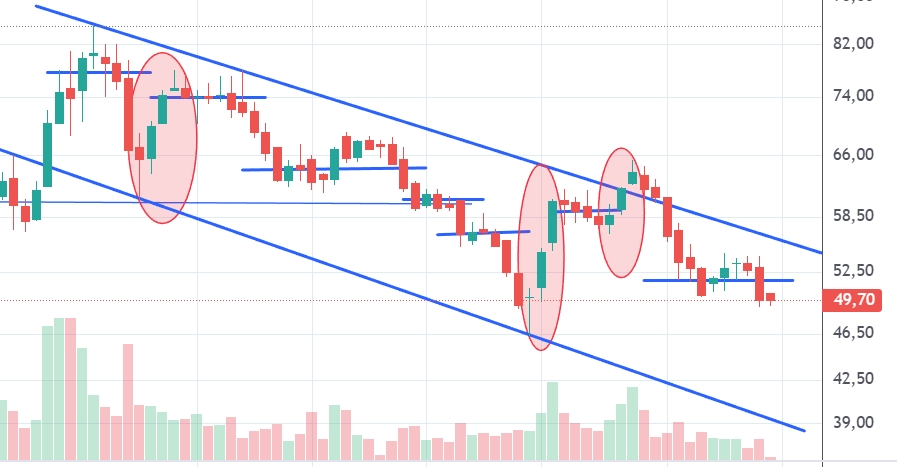Captura de pantalla_13-2-2026_112058_trading.portfoliopersonal.com.jpeg