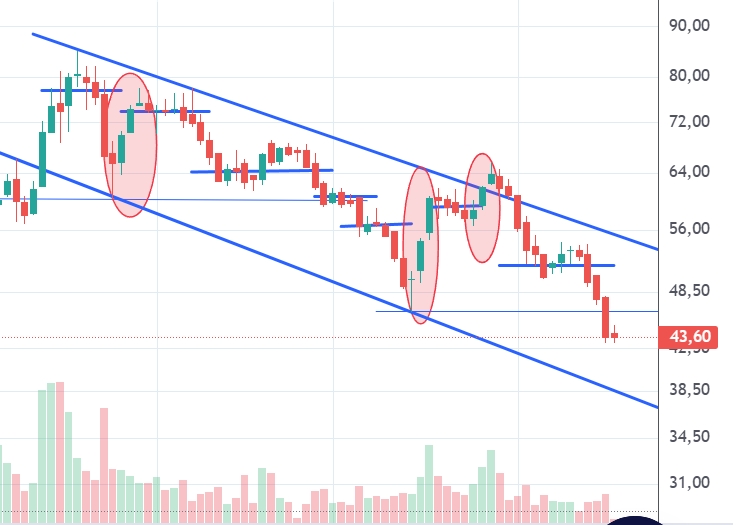 Captura de pantalla_19-2-2026_113050_trading.portfoliopersonal.com.jpeg