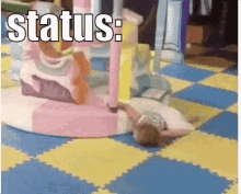 original_306929917.gif