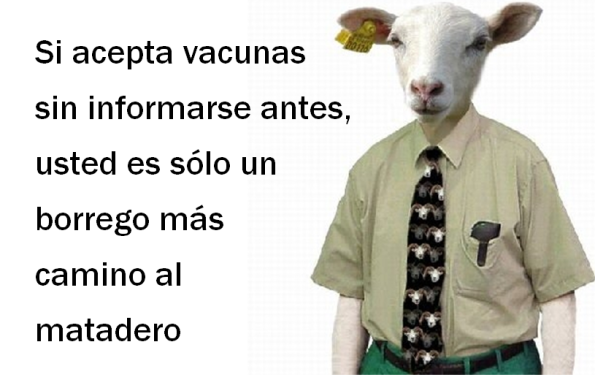 84a89cfe420d56615509c753ebfdfe0a.png