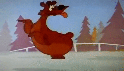 oso mentiroso jajaja.gif