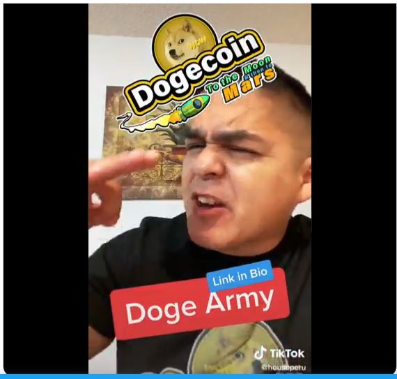 doge.JPG