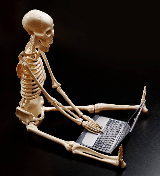istockphoto-185089663-612x612.jpg
