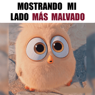 gruñonnn.gif