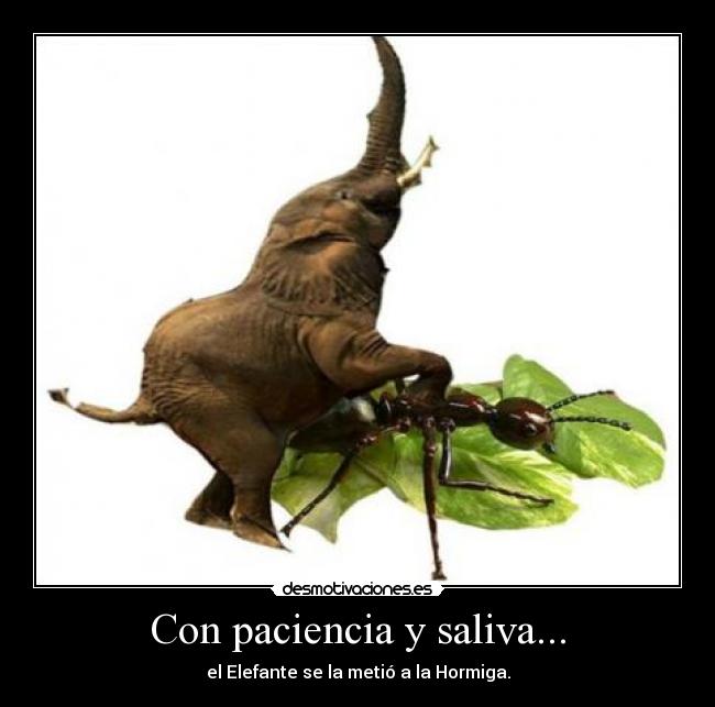 NO LO DUDES ESTIMADO.jpg