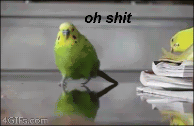 original_311730900.gif