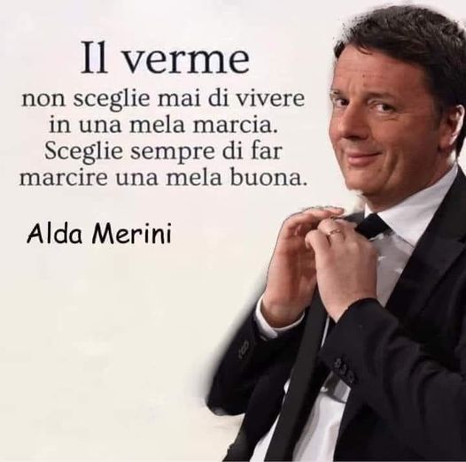 vermi.jpg