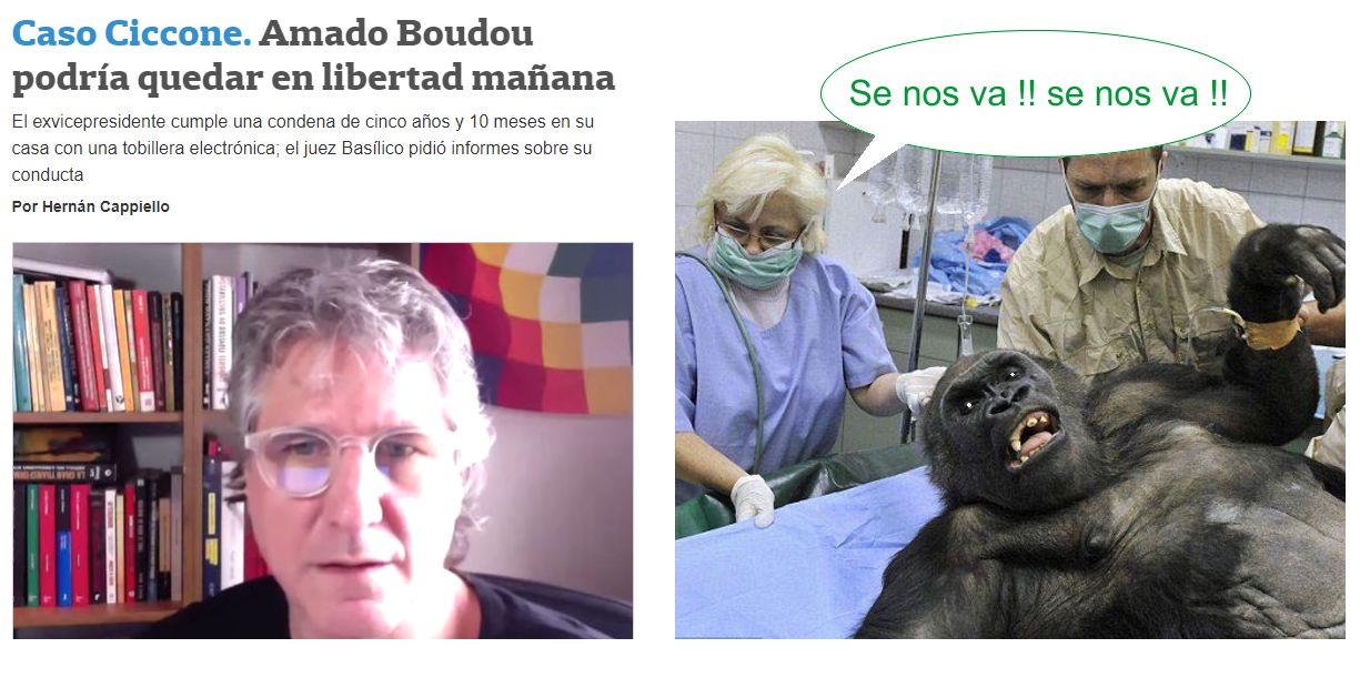 boudu.jpg