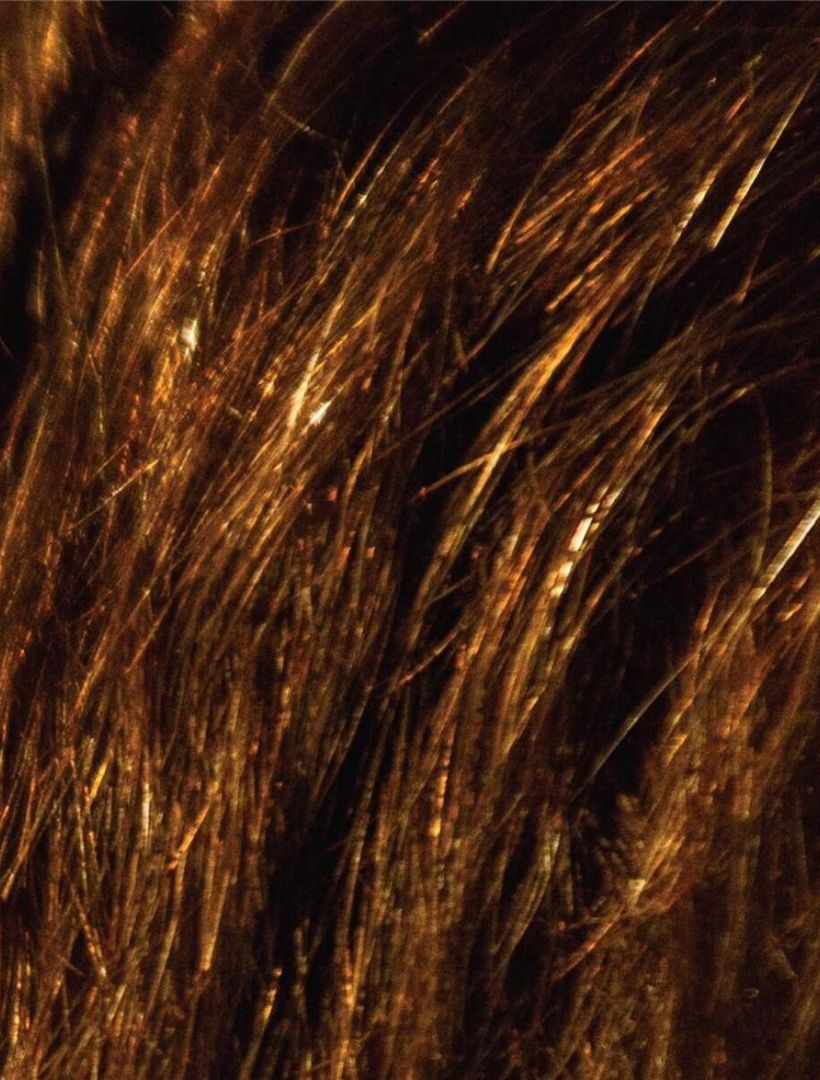 pelo-de-Diego-Santilli-67f5d3.jpg