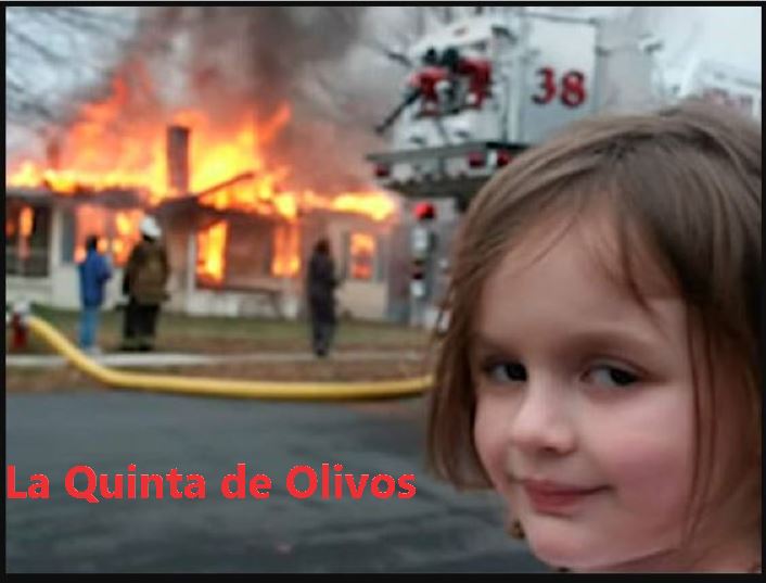 OLIVOS.JPG