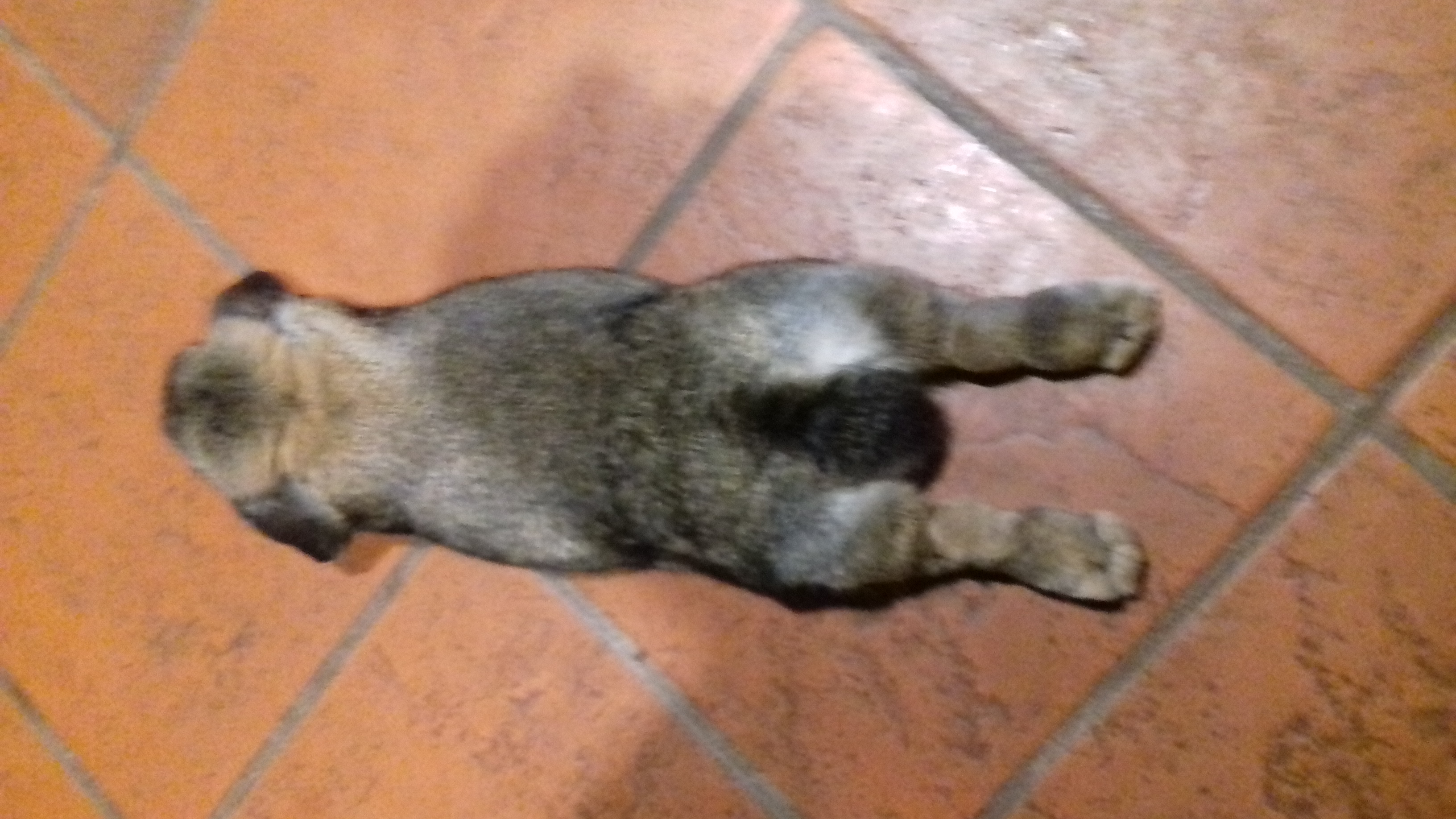 20180921_202824.jpg