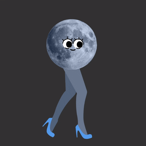 giphy (11).gif