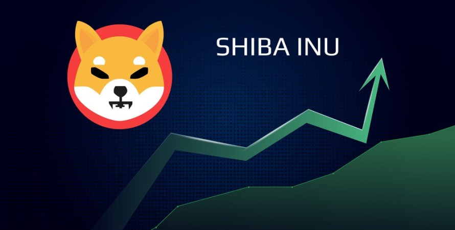 SHIBA.jpg