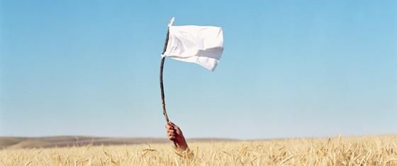 mindalia-bandera.jpg