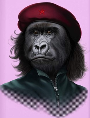 che gorila.jpg