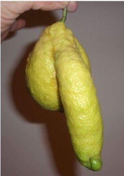 limon raro.jpg