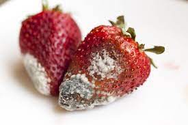 me parece que se paso la frutilla.jpg