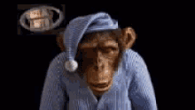 boltereta duerme la mona con el fmi y sin el fmi  jujijijiji.gif