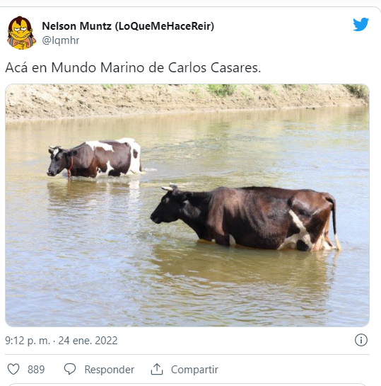Vicky Golosa Paz.png