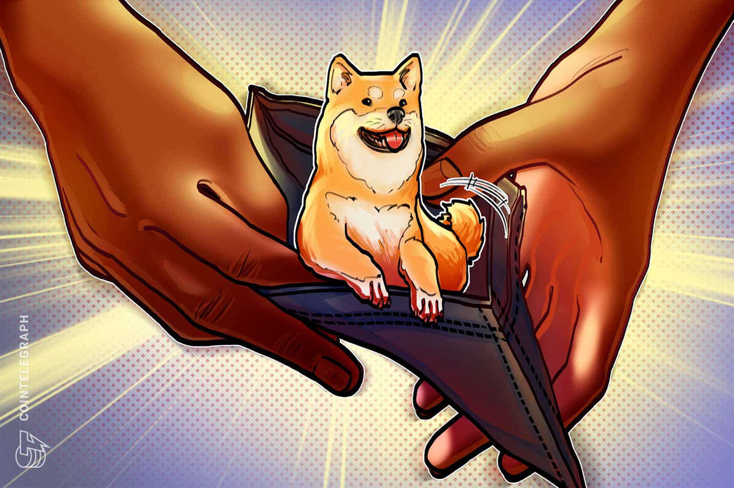 shiba inu.jpg