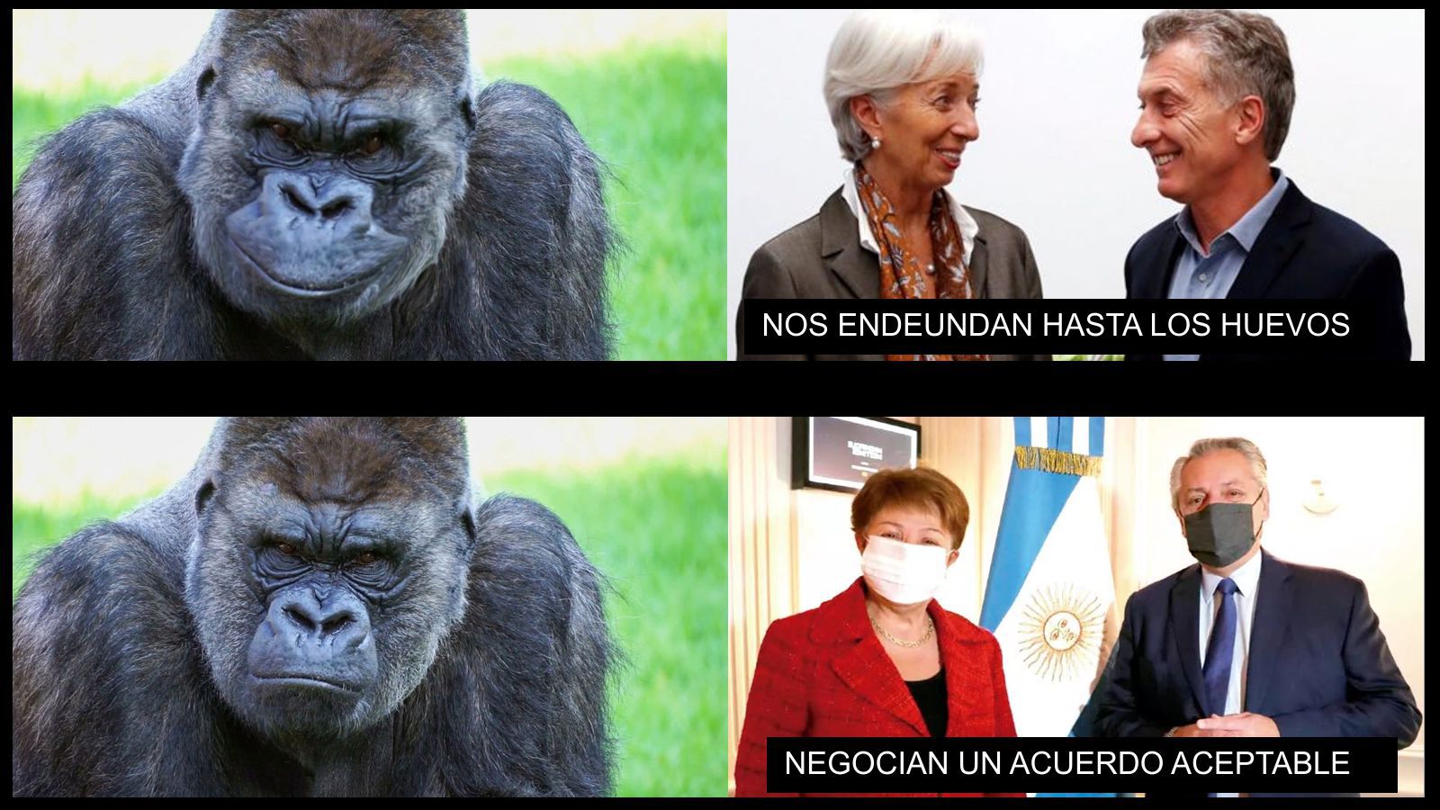 01_FMI.jpg