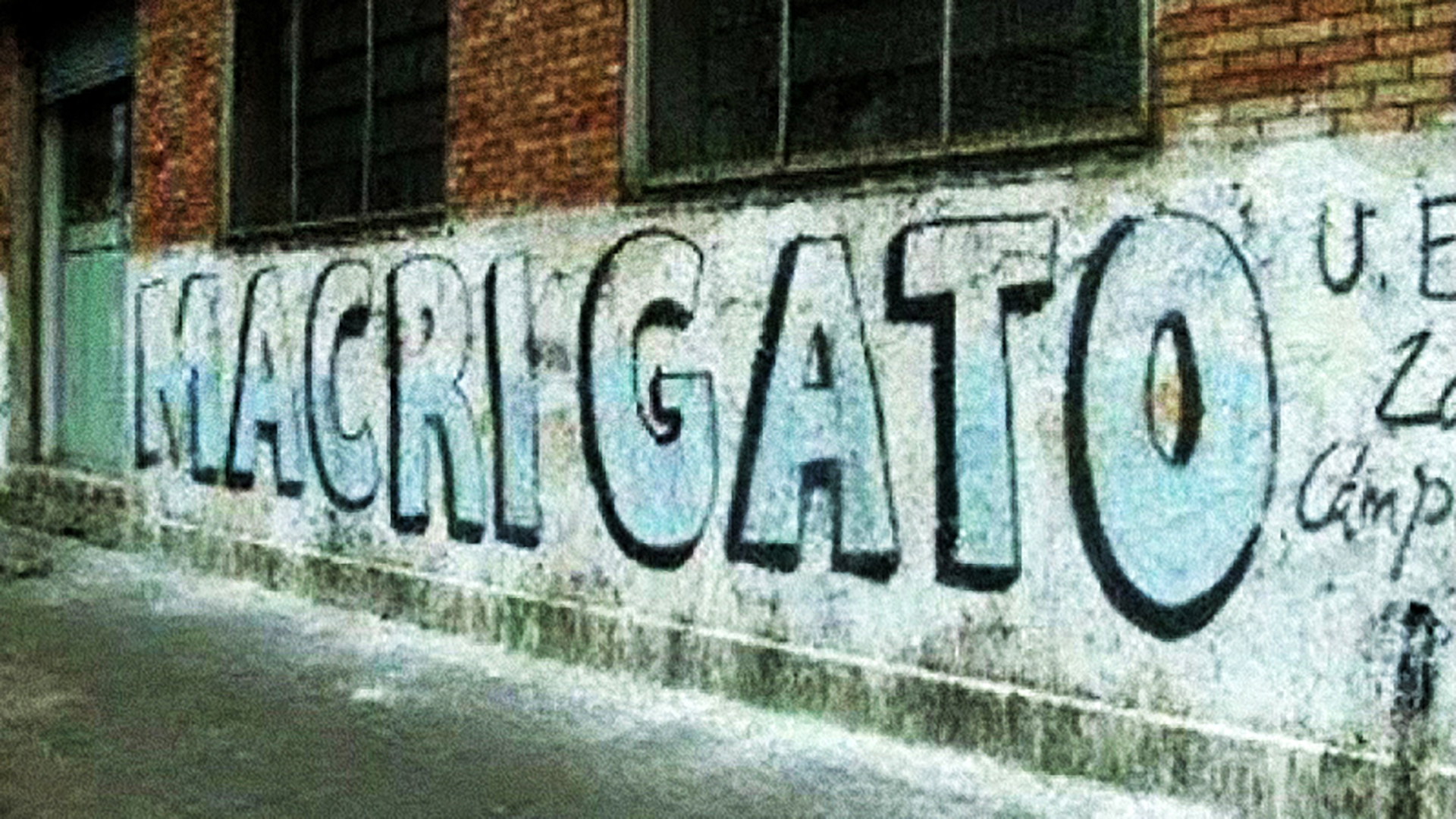 PARED GATO.jpg