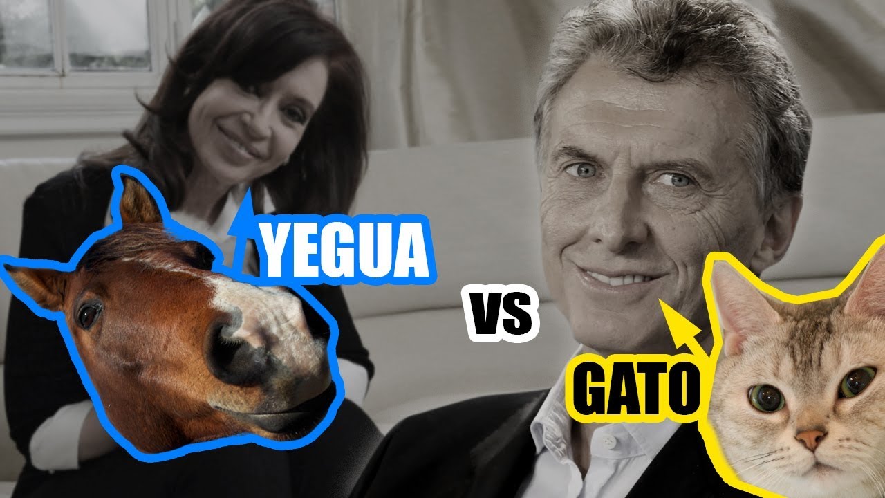 maxresdefault (4).jpg