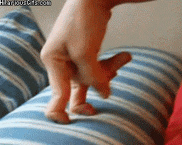 giphy (26).gif