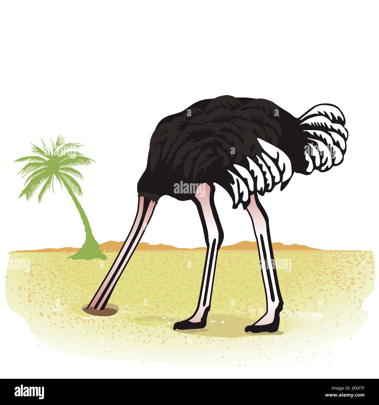 el-avestruz-esconde-su-cabeza-en-la-arena-j9xxtf.jpg