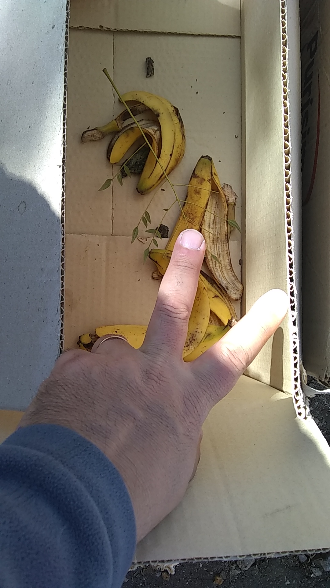 IMG-20220324-WA0050.jpeg