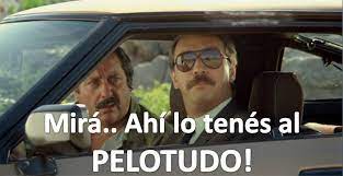 EL PELOTUDO.jpg