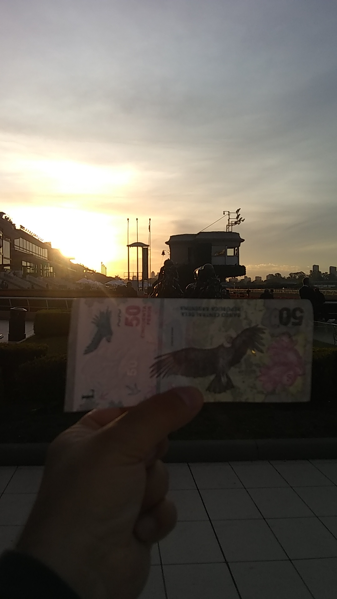 IMG-20220523-WA0054.jpeg