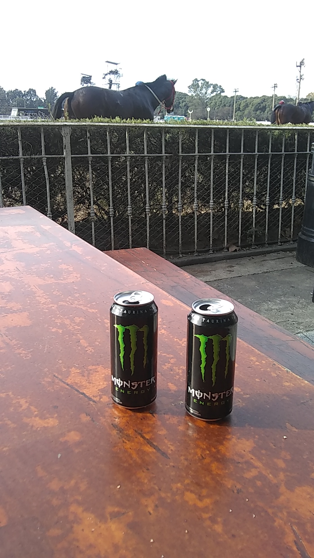 IMG-20220523-WA0051.jpeg