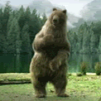 GGAL100.gif
