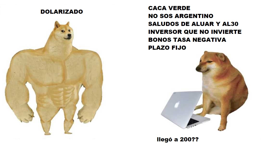meme-perro-grande-pequeno-especial_48_0_1085_675.jpg