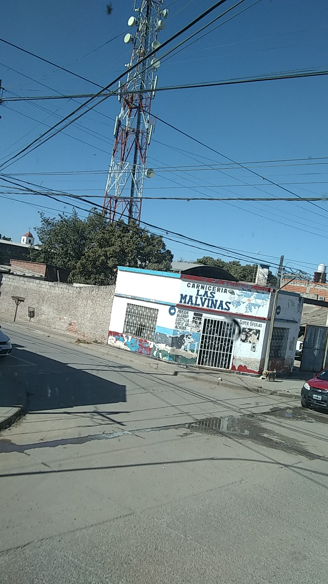 IMG-20220718-WA0024.jpeg