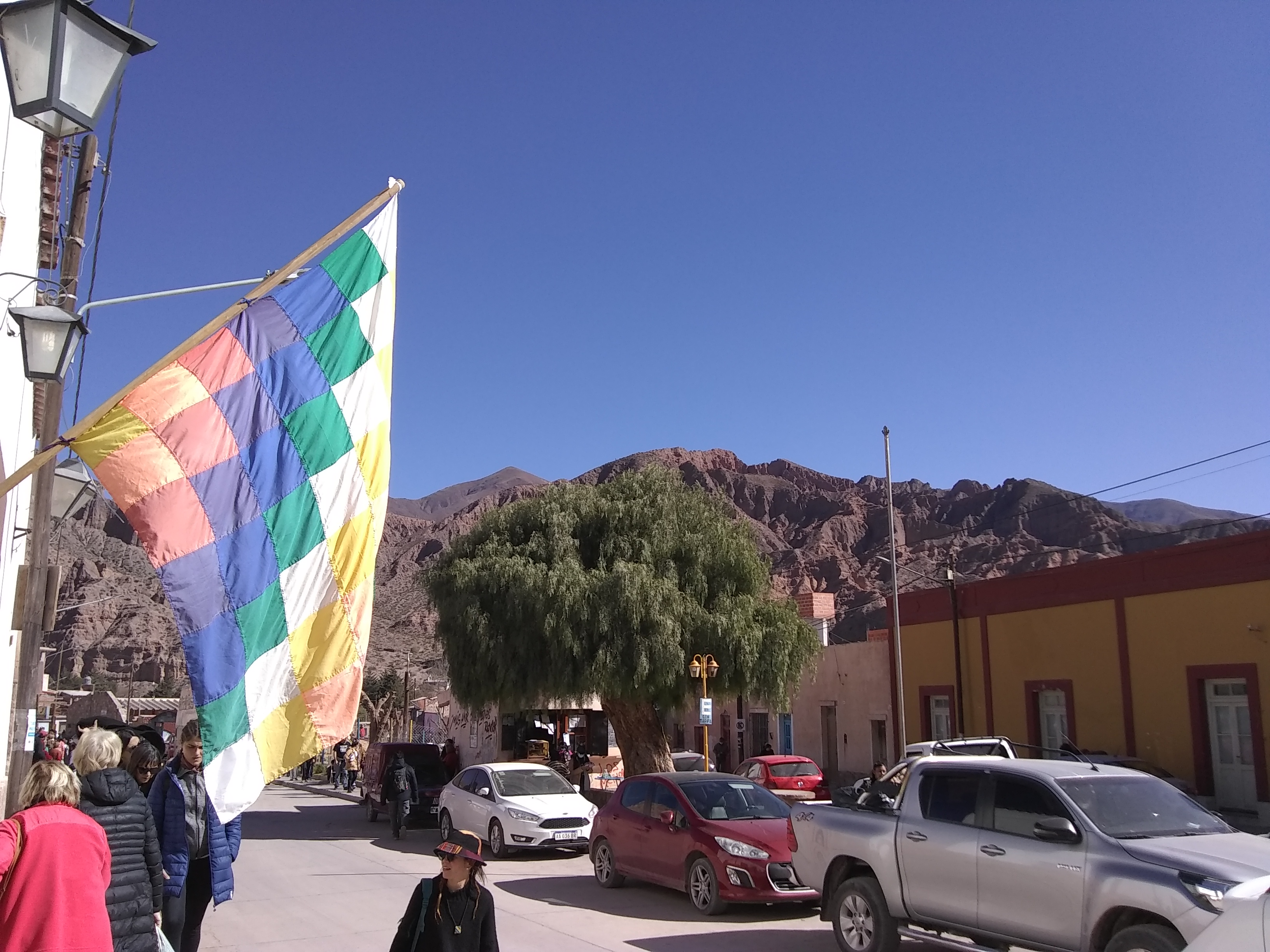 IMG_20220718_113331541.jpg