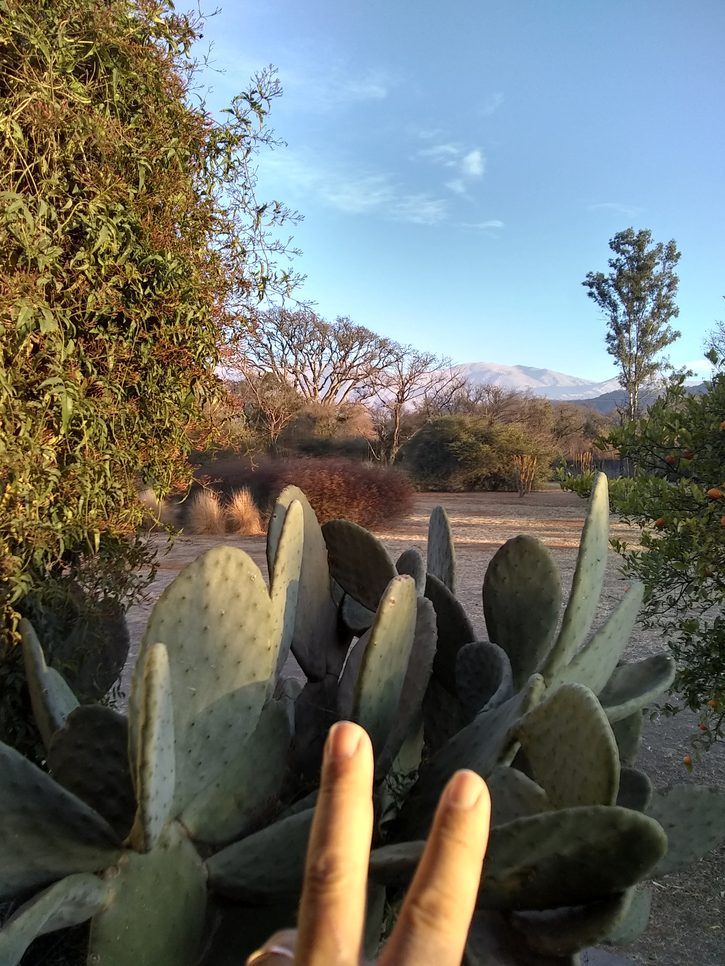 IMG_20220722_082856415_HDR.jpg