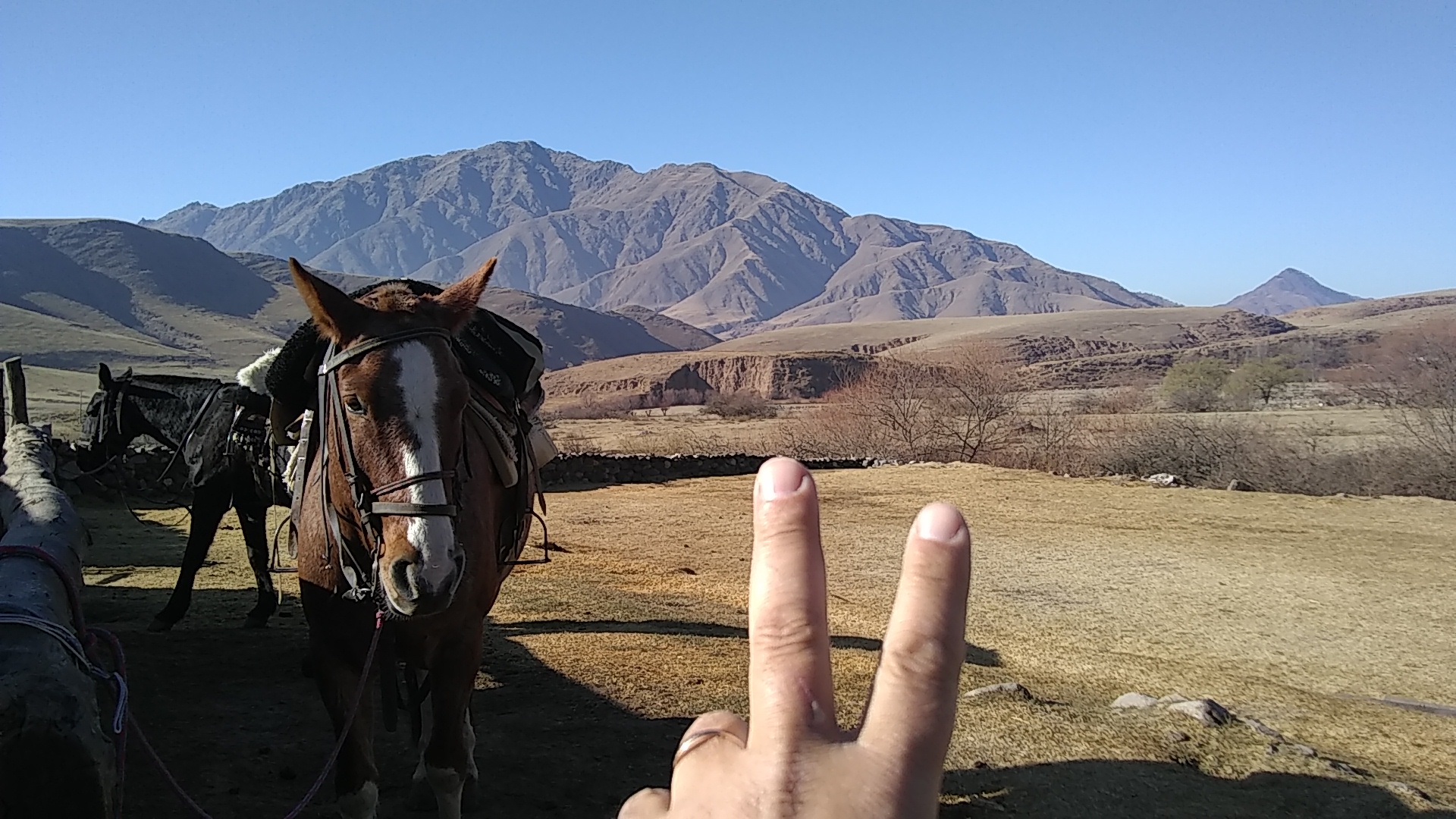 IMG-20220726-WA0005.jpeg