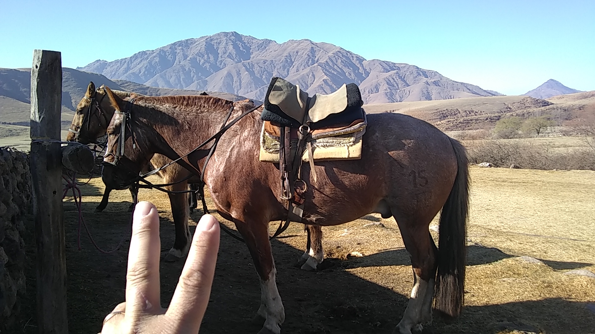 IMG-20220726-WA0010.jpeg