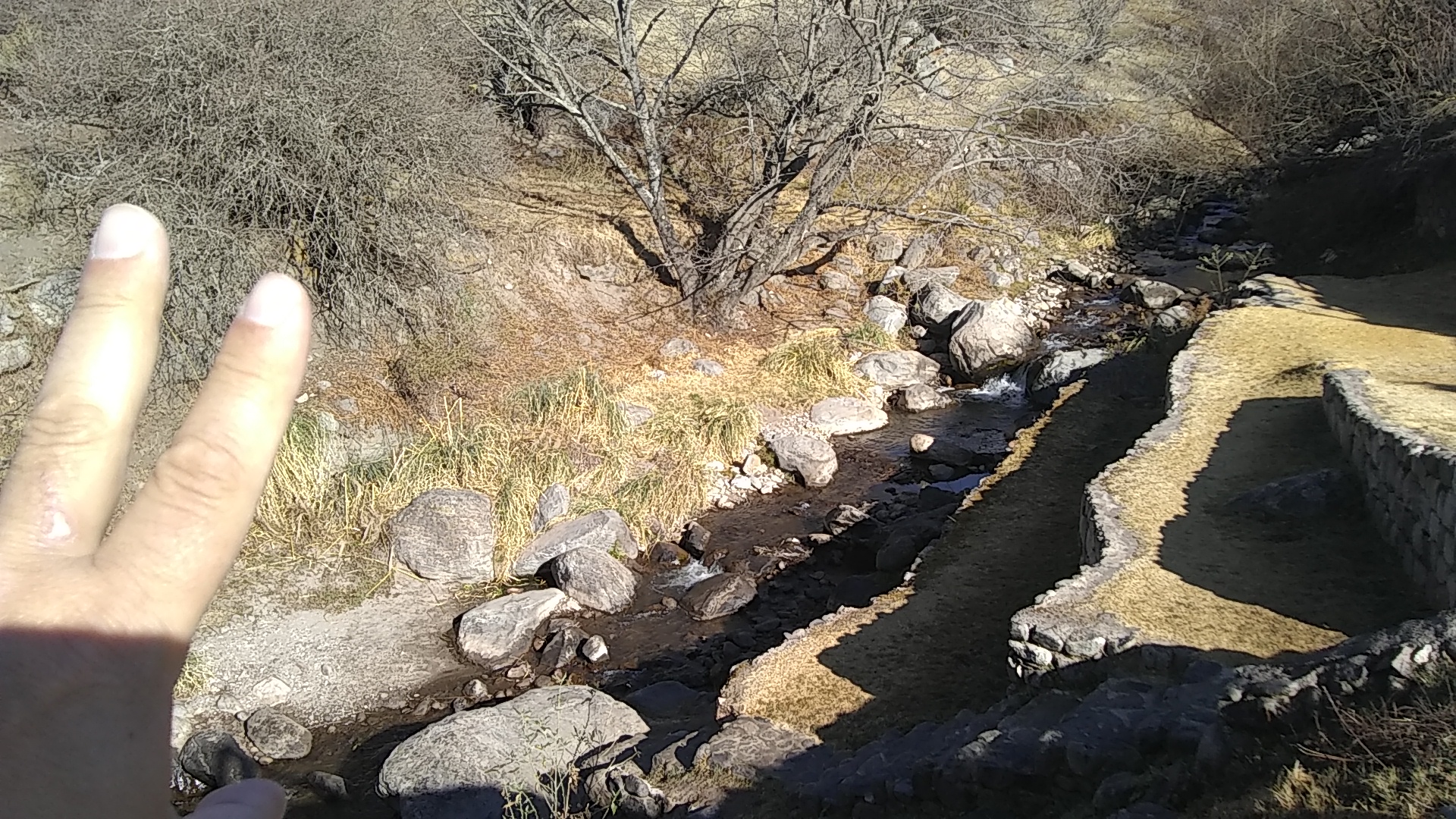 IMG-20220726-WA0012.jpeg