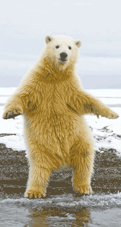 ggal140.gif