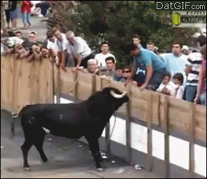bull140.gif