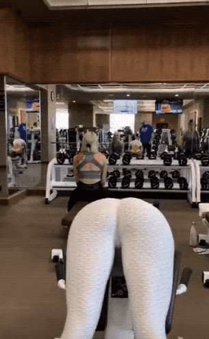 GGALUP8.gif