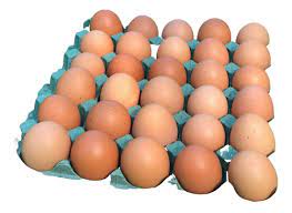 huevos hoy $700 huevos en 40 años $789009550050505050505050500505 ijijiji y gold llega a 30 dolares jijijiji.jpg