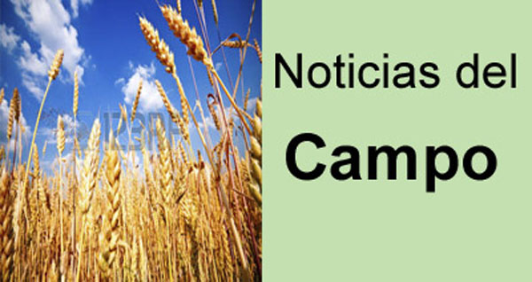 PARA TENER EN CUENTA.jpg